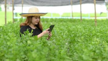 tienerboer met tablet voor moderne groenteteelt in kas, slimme boerderij. foto