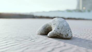 oud wit koraal Aan zand strand foto