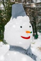 portret van een sneeuwman in stad park foto
