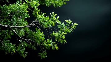 ai gegenereerd levendig groen detailopname natuurlijk achtergrond van boom bladeren ideaal voor gebladerte structuur ontwerpen, ai gegenereerd foto