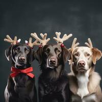 ai gegenereerd schattig hond schor wolf puppy met Kerstmis geschenk dozen concept foto poster vrolijk Cadeau rood nieuw jaar