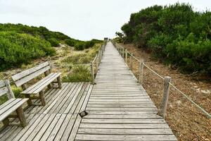 een houten promenade met banken Leidt naar een strand foto