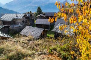 bodma, in bvalais, zwitsers foto