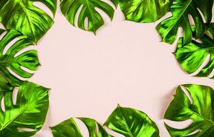 monstera blad, tropisch botanisch fabriek in elegant decoratief ontwerp geïsoleerd Aan leeg achtergrond foto