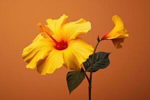 ai gegenereerd bloeiend zomer meeldraad flora tuin blad bloemen schoonheid bloesem hibiscus achtergrond foto