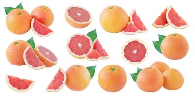 grapefruits reeks geïsoleerd foto