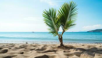 ai gegenereerd tropisch kustlijn, blauw water, palm bomen zomer vakantie paradijs gegenereerd door ai foto