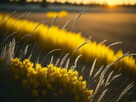 ai gegenereerd gloeiend velden van winter zacht focus zonsondergang weide met geel bloemen van de natuur omarmen. een symfonie van kleuren warm winter zonsondergang weide met abstract zacht focus natuur harmonie foto