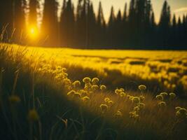 ai gegenereerd gloeiend velden van winter zacht focus zonsondergang weide met geel bloemen van de natuur omarmen. een symfonie van kleuren warm winter zonsondergang weide met abstract zacht focus natuur harmonie. foto