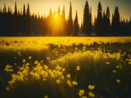 ai gegenereerd gloeiend velden van winter zacht focus zonsondergang weide met geel bloemen van de natuur omarmen. een symfonie van kleuren warm winter zonsondergang weide met abstract zacht focus natuur harmonie. foto