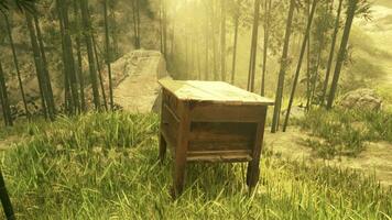 een eenzaam houten tafel omringd door de schoonheid van natuur foto