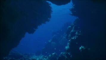 een onderwater- visie van een diep blauw zee foto