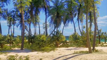 een tropisch paradijs strand met palm bomen en kristal Doorzichtig oceaan wateren foto
