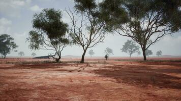 een toneel- landschap met rood aarde veld- en bomen in de afstand foto