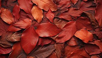 ai gegenereerd levendig herfst kleuren reflecteren Aan nat esdoorn- boom takken gegenereerd door ai foto