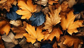 ai gegenereerd levendig herfst kleuren reflecteren Aan nat esdoorn- boom takken gegenereerd door ai foto
