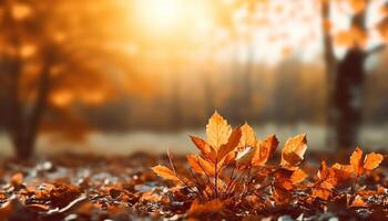 ai gegenereerd herfst blad Aan oud houten tafel, natuur rustiek decoratie gegenereerd door ai foto