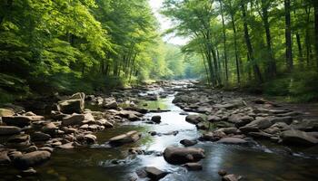 ai gegenereerd rustig tafereel groen Woud, vloeiende water, reflecterend zonlicht, natuurlijk schoonheid gegenereerd door ai foto