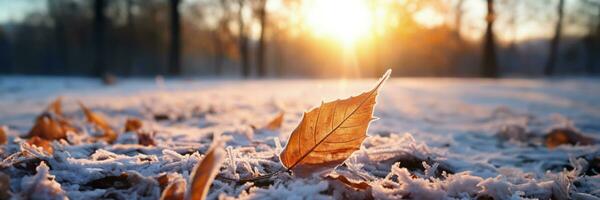 ai gegenereerd een vorst gedekt blad onder vroeg ochtend- zonlicht de concept van hydratatie foto