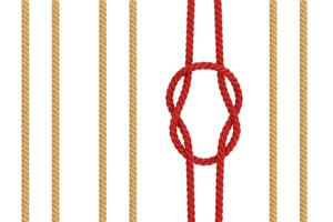 rij van touw en een rood touw met rif plein knoop. 3d renderen foto