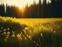 ai gegenereerd gloeiend velden van winter zacht focus zonsondergang weide met geel bloemen van de natuur omarmen. een symfonie van kleuren warm winter zonsondergang weide met abstract zacht focus natuur harmonie. foto