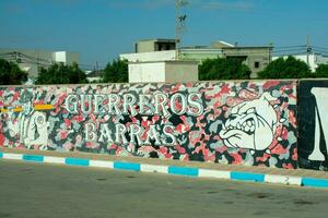 6.11.23 el jem, Tunesië straat kunst politiek graffiti Aan muren in stad van el jem Tunesië foto