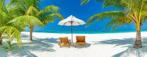 mooi tropisch strand spandoek. wit zand kokosnoot palmen luxe vrije tijd levensstijl stoelen net zo breed panorama achtergrond concept. verbazingwekkend strand landschap, romantisch tafereel paar huwelijksreis reizen bestemmingen foto