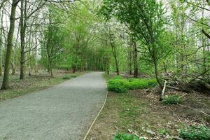 meest mooi openbaar park van Engeland foto