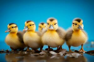 ai gegenereerd schattig pluizig klein weinig geel eenden ai gegenereerd foto