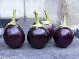 vers aubergine Aan een zwart beton vloer. selectief focus, agrarisch concept, gecultiveerd groenten foto