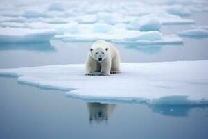 ai gegenereerd polair beer ursus maritimus moeder en welp Aan de pak ijs, noorden van Spitsbergen arctisch Noorwegen, een polair beer gestrand Aan een krimpen ijs pet, ai gegenereerd foto