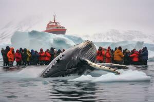 ai gegenereerd gebochelde walvis in gletsjer lagune, antarctisch schiereiland, antarctica, een gebochelde walvis duurt een duiken terwijl toeristen vastleggen de evenement - antarctica, ai gegenereerd foto