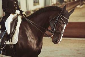 vrouw jockey met zijn paard foto