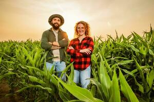 familie agrarisch bezigheid. Mens en vrouw zijn cultiveren maïs. ze zijn tevreden met mooi zo vooruitgang van planten. foto
