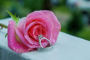 roze roos en bruiloft ring foto