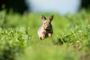 ai gegenereerd Pasen knaagdier dieren in het wild jong veld- natuur zoogdier konijn groen dier klein schattig zomer foto