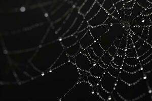 ai gegenereerd laten vallen zijde netwerk spinneweb ontwerp dauw spin macro abstract draad netto natuur web nat foto