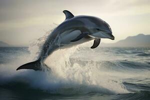 ai gegenereerd dieren in het wild zoogdier natuur zwemmen plons grote Oceaan aquatisch zee dier wild vin jumping dolfijn foto
