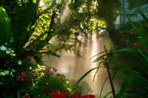 detailopname van weelderig groen tropisch vegetatie oerwoud in zonneschijn. tropisch natuur achtergrond. foto