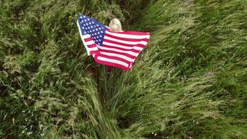 vol lengte blond vrouw Holding Amerikaans vlag in bomen schaduw van zonlicht terug visie schattig blond meisje rennen Aan vers groen gras structuur foto