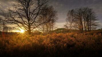 herfst- landschap panorama Bij zonsondergang foto