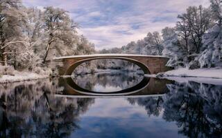 ai gegenereerd hemel- ballet, een betoverend symfonie van noordelijk lichten over- een deken van besneeuwd kalmte foto