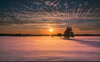 ai gegenereerd betoverend winter zonsopkomst, omarmen de kalmte van een besneeuwd wonderland foto