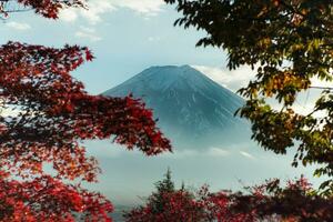 selectief focus Aan de berg fuji met onscherp takken van herfst bladeren in voorgrond foto