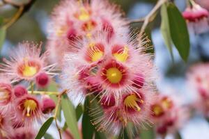 ai gegenereerd mooi gom boom roze bloemen en knoppen. ai gegenereerd foto