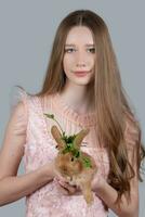 portret van een tiener meisje met lang blond haar- en een rood konijn Aan een grijs achtergrond. de meisje is Holding een konijn. foto