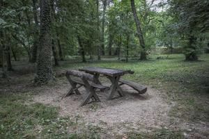 houten tafel en banken in het park van sumice in belgrado foto