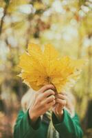 vrouw aan het bedekken haar gezicht met vallen bladeren terwijl geniet in herfst en uitgeven tijd in de park. foto