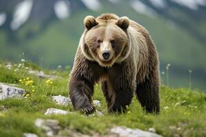 ai gegenereerd bruin beer in beweging Aan de groen weide in lente natuur. ai gegenereerd foto