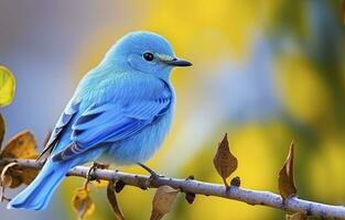 ai gegenereerd schattig weinig vogel met een natuur achtergrond. ai gegenereerd. foto